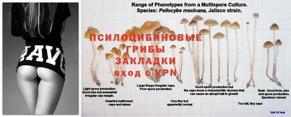 кокс Покачи