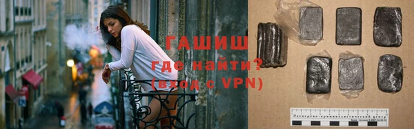 стаф Алзамай