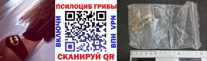 Псилоцибиновые грибы Psilocybe Переславль-Залесский