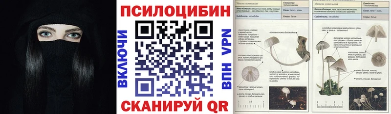 где купить наркоту  OMG как войти  Галлюциногенные грибы прущие грибы  Переславль-Залесский 